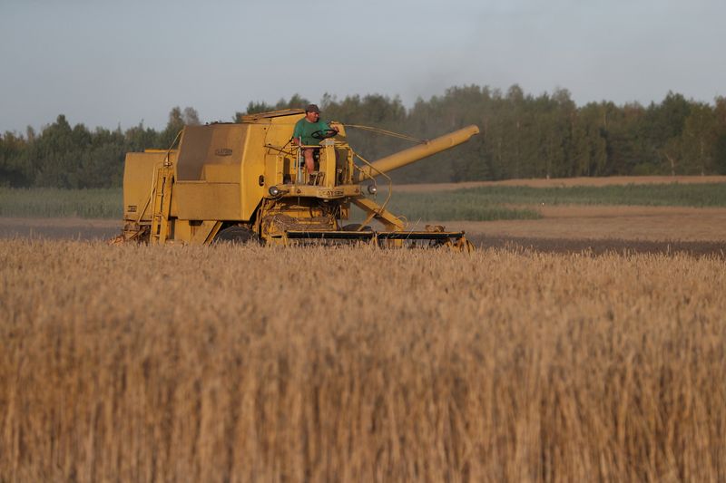 &copy; Reuters. FOTO DE ARCHIVO. Una cosechadora recolecta grano en un campo cerca de Celinowo, Polonia, el 28 de julio de 2022. REUTERS/Kacper Pempel