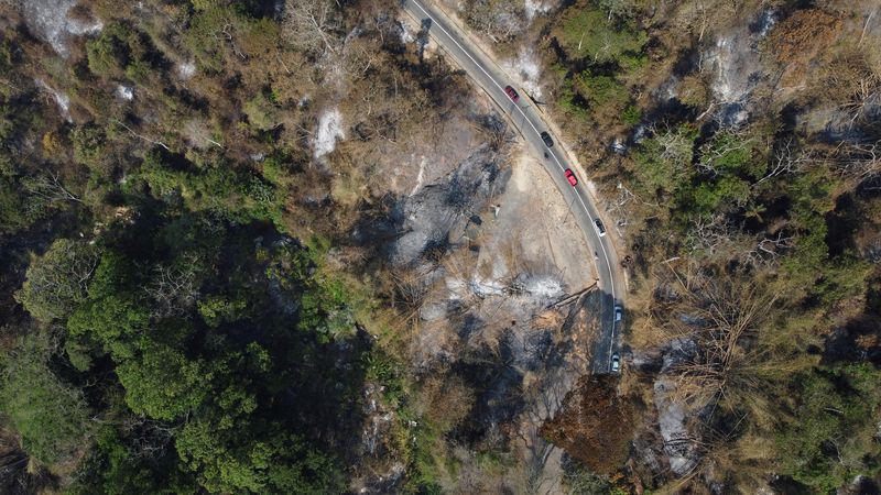 &copy; Reuters. Una vista de un dron muestra un bosque quemado después de un incendio forestal en el Parque Nacional Henri Pittier, en Maracay, Venezuela, el 30 de marzo de 2024. REUTERS/Leonardo Fernandez Viloria