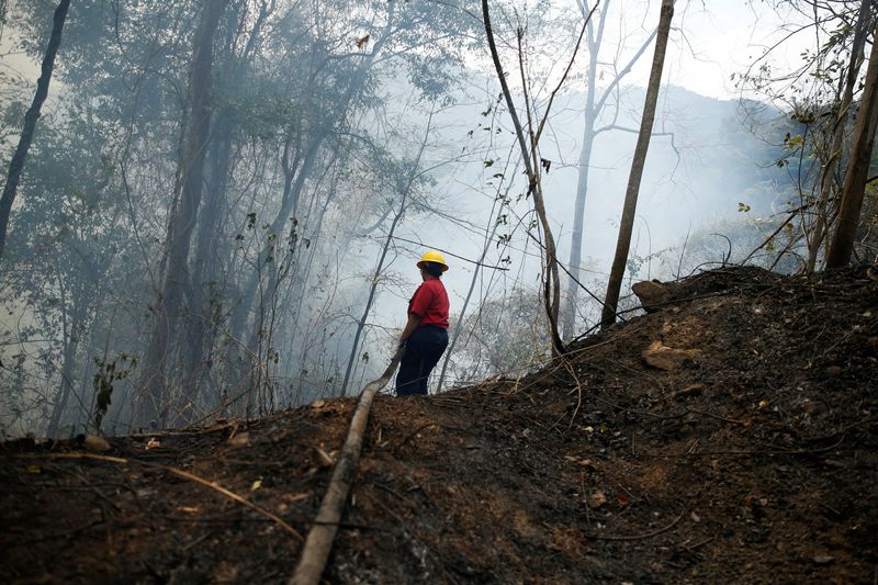 &copy; Reuters. 　４月１日、ブラジル国立宇宙研究所（ＩＮＰＥ）の衛星データによると、１─３月にベネズエラで発生した森林火災が３万０２００カ所を超え、この時期としては１９９９年の統計開始以