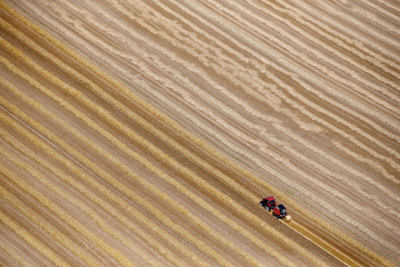 &copy; Reuters. FILE PHOTO: An aerial view shows a French farmer in his tractor making bales of straw after wheat harvest in his field in Coquelles near Calais, northern France, July 21, 2015.   REUTERS/Pascal Rossignol/File Photo