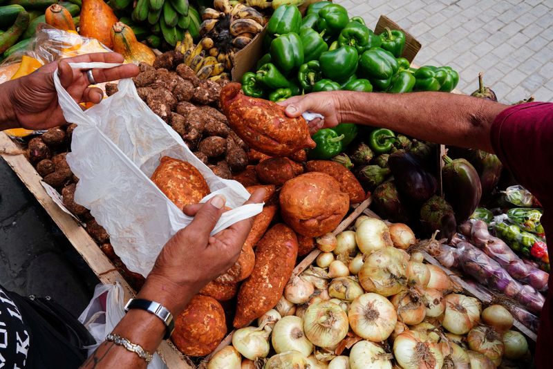&copy; Reuters. A person buys vegetables in downtown Havana, Cuba, March 11, 2024. REUTERS/Alexandre Meneghini