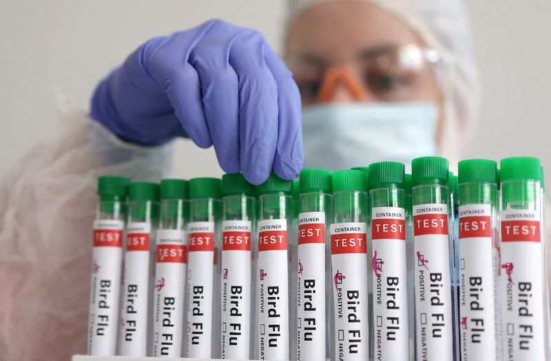 &copy; Reuters. FILE PHOTO: A person touches a test tube labelled "Bird Flu", in this picture illustration, January 14, 2023. REUTERS/Dado Ruvic/Illustration/File Photo