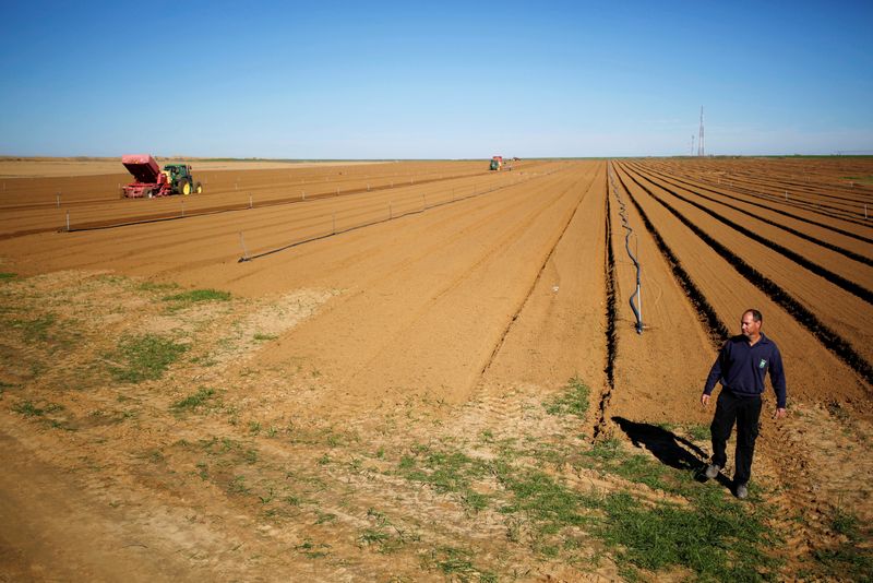&copy; Reuters. FILE PHOTO: Israeli farmer Elad Katzir walks in his field near the border with the southern Gaza Strip, in Nir Oz, Israel January 11, 2018. REUTERS/Amir Cohen