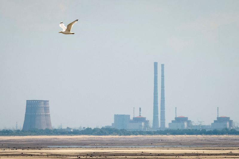 &copy; Reuters. FILE PHOTO: A view shows Zaporizhzhia Nuclear Power Plant from the bank of Kakhovka Reservoir near the town of Nikopol after the Nova Kakhovka dam breached, amid Russia's attack on Ukraine, in Dnipropetrovsk region, Ukraine June 16, 2023. REUTERS/Alina Sm