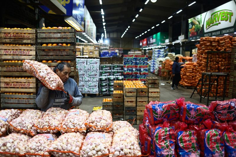 &copy; Reuters. A vendor carries a sack of garlic at the Mercado Central, the city's largest wholesale central market, which receives produce from the entire country, as Argentines face a daily race for deals as inflation soars above 100%, on the outskirts of Buenos Aire