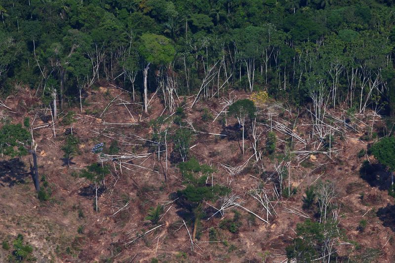 &copy; Reuters. FILE PHOTO: A deforested and burnt plot is seen in Jamanxim National Forest in the Amazon, near Novo Progresso, Para state, Brazil September 11, 2019. REUTERS/Amanda Perobelli/File Photo