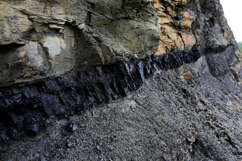 &copy; Reuters. Foto de Archivo: Una sección de carbón expuesta en la pared de roca que recubre una carretera en Partridge, Kentucky, EEUU. 20 de mayo de 2018. REUTERS/Brian Snyder.