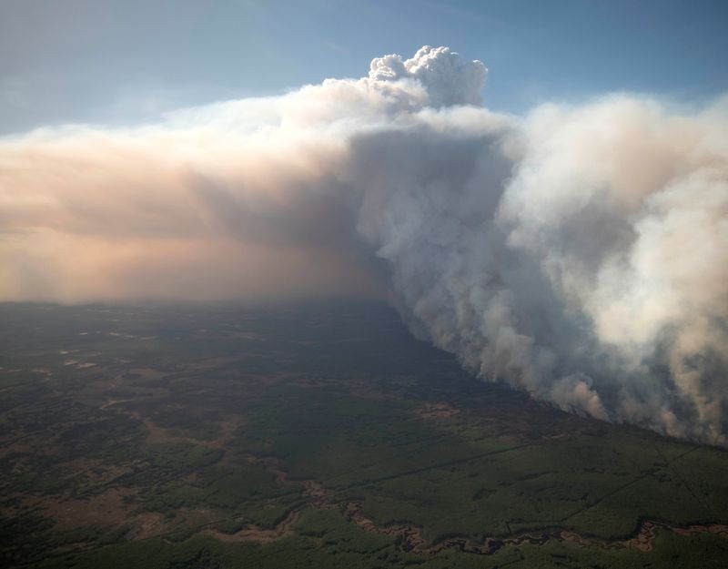 &copy; Reuters. カナダ政府は１０日、エルニーニョ現象で春から夏にかけて気温が例年より高くなると予想し、今夏も「壊滅的な」森林火災シーズンになる恐れがあると発表した。写真は２０１９年５月、