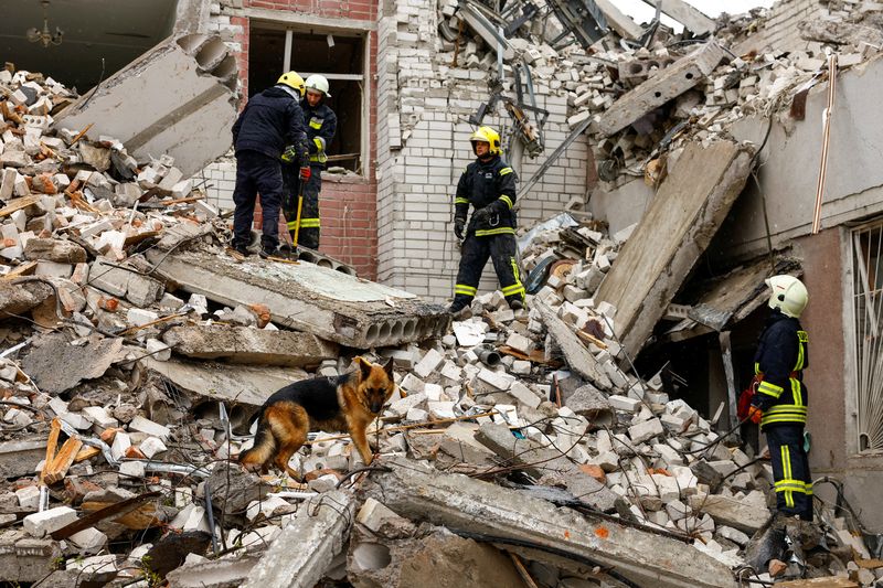 © Reuters. A dog stands on rubble as rescuers work at the site of a destroyed building during a Russian missile strike, amid Russia's attacks on Ukraine, in Chernihiv, Ukraine April 17, 2024. REUTERS/Valentyn Ogirenko