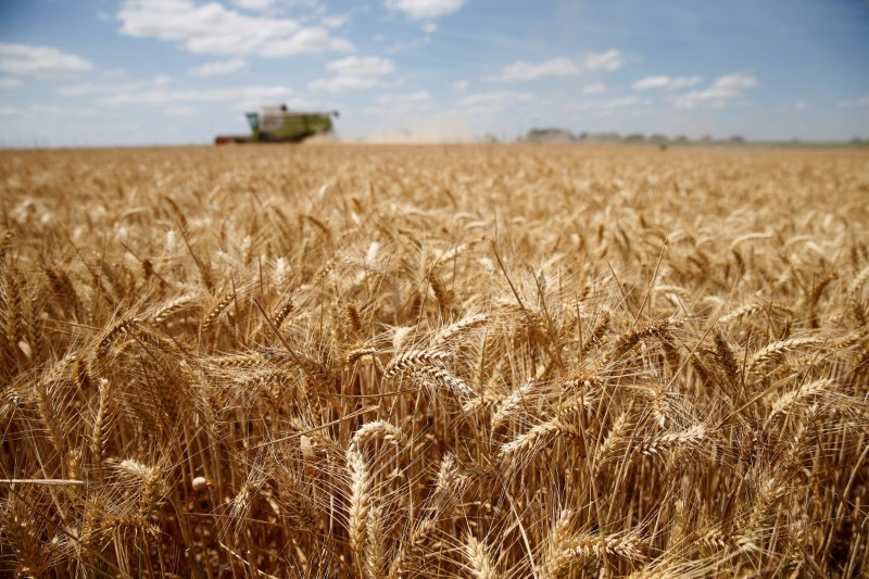 &copy; Reuters. FOTO ARCHIVO: Un agricultor francés cosecha trigo en Sancourt, norte de Francia. 17 de julio de 2018.  REUTERS/Pascal Rossignol/Archivo