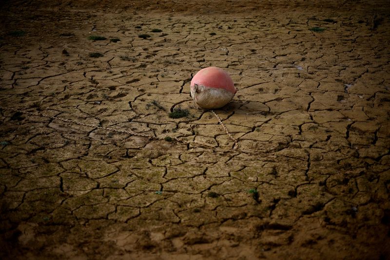 &copy; Reuters. FILE PHOTO: A buoy is seen on the banks of the partially dry Lake Montbel at the foot of the Pyrenees Mountains as France faces records winter dry spell raising fears of another summer of droughts and water restrictions, March 13, 2023. REUTERS/Sarah Meys