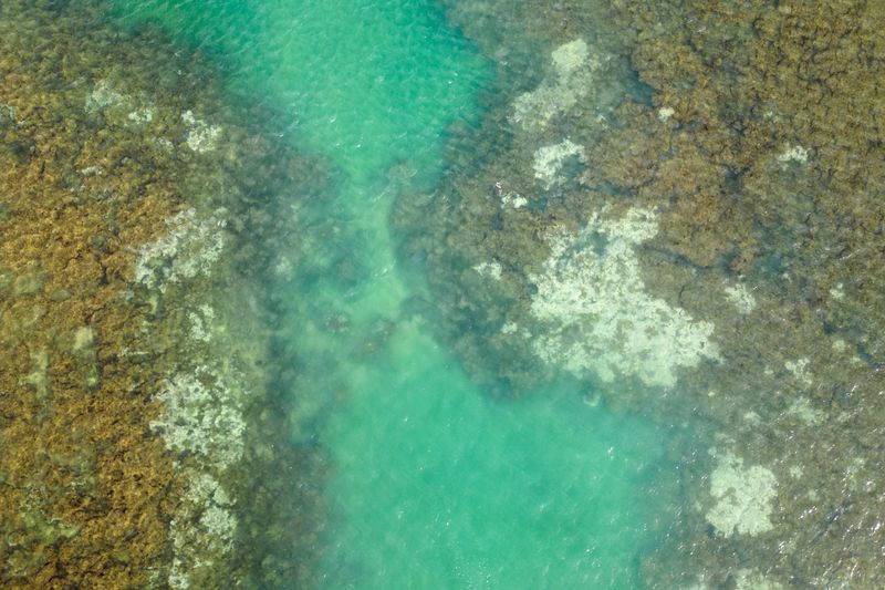 &copy; Reuters. Un dron muestra corales blanqueados en el arrecife de Costa dos Corais, en Japaratinga, Estado de Alagoas, Brasil. 16 de abril de 2024. REUTERS/Jorge Silva.