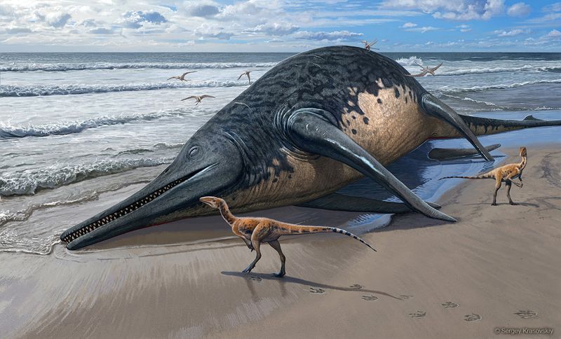 &copy; Reuters. El cadáver de un Ichthyotitan severnensis, una especie recién identificada de reptil marino que vivió hace 202 millones de años basada en fósiles descubiertos en Somerset, Inglaterra, yace en una orilla en esta ilustración obtenida por Reuters el 16