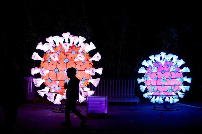 &copy; Reuters. FILE PHOTO: A visitor walks past an illuminated coronavirus (COVID-19) model as he visit the "Mini-Worlds on the Way of Illumination" (Mini-Mondes en voie d'illumination) exhibition during the Light Festival preview at the Jardin des Plantes (Botanical ga