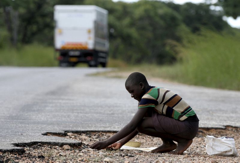 &copy; Reuters. FILE PHOTO: A woman gathers grain spilled by cargo trucks from Zambia along a highway in Magunje, Zimbabwe, February 20, 2016. Earlier this month Zimbabwean President Robert Mugabe declared a state of disaster in most rural parts of the country severely h