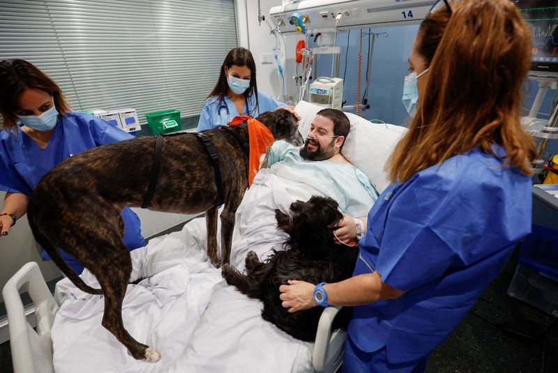 &copy; Reuters. Paciente Joel Bueno recebe "visita" de cães de terapia, conforme a Fundação Affinity traz cães para confortar pacientes da UTI do Hospital del Mar, em Barcelona
18/04/2024
REUTERS/Albert Gea