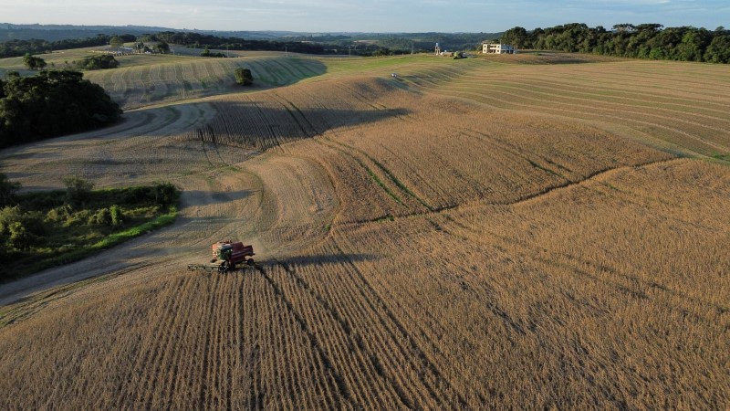 &copy; Reuters. FOTO DE ARCHIVO: Granos de soja son cosechados de un campo en Ponta Grossa, estado de Paraná, Brasil. 25 de abril de 2023. REUTERS/Rodolfo Buhrer/Archivo