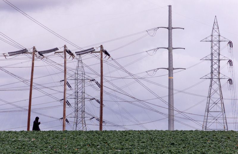 &copy; Reuters. Torres de energia
24/01/2001