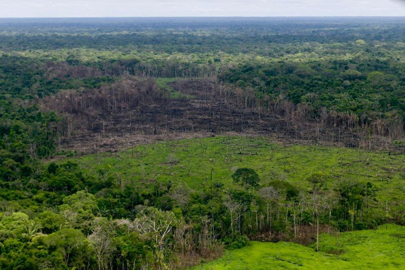 &copy; Reuters. Área arborizada com desmatamento é vista na Serrania del Chiribiquete
28/04/2019
Cortesia da Presidência da Colômbia/Divulgação via REUTERS