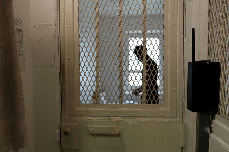© Reuters. A prisoner stands behind the door of a cell of the isolation section at the Villepinte detention centre in Villepinte, near Paris, France, April 8, 2024. REUTERS/Layli Foroudi