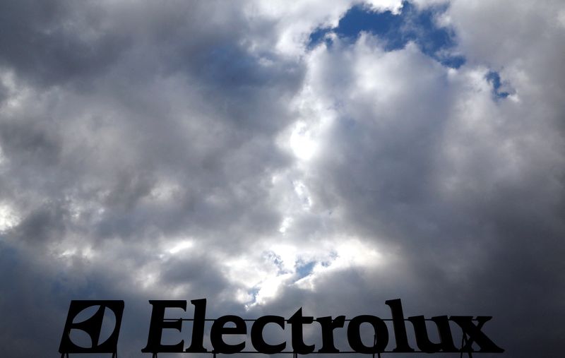 &copy; Reuters. FILE PHOTO: FILE PHOTO: An Electrolux logo is seen at a factory in Porcia, northern Italy, February 28, 2014.  REUTERS/Stefano Rellandini/File Photo
