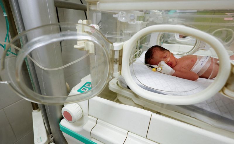 &copy; Reuters. A Palestinian baby girl, saved from the womb of her mother Sabreen Al-Sheikh (Al-Sakani), who was killed in an Israeli strike along with her husband Shokri and her daughter Malak, lies in an incubator at Al-Emirati hospital in Rafah in the southern Gaza S