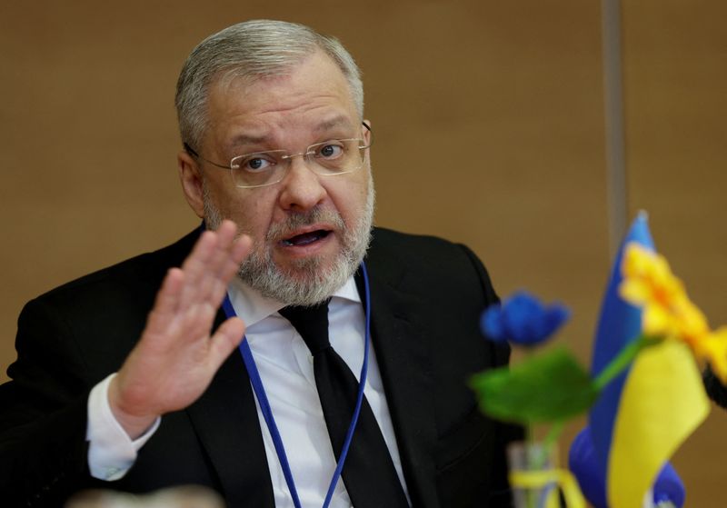 &copy; Reuters. جيرمان جالوشينكو وزير الطاقة الأوكراني لدى حضوره مؤتمرا صحفيا في مقر الوكالة الدولية للطاقة الذرية في فيينا يوم الثامن من مارس آذار 2024. تصو