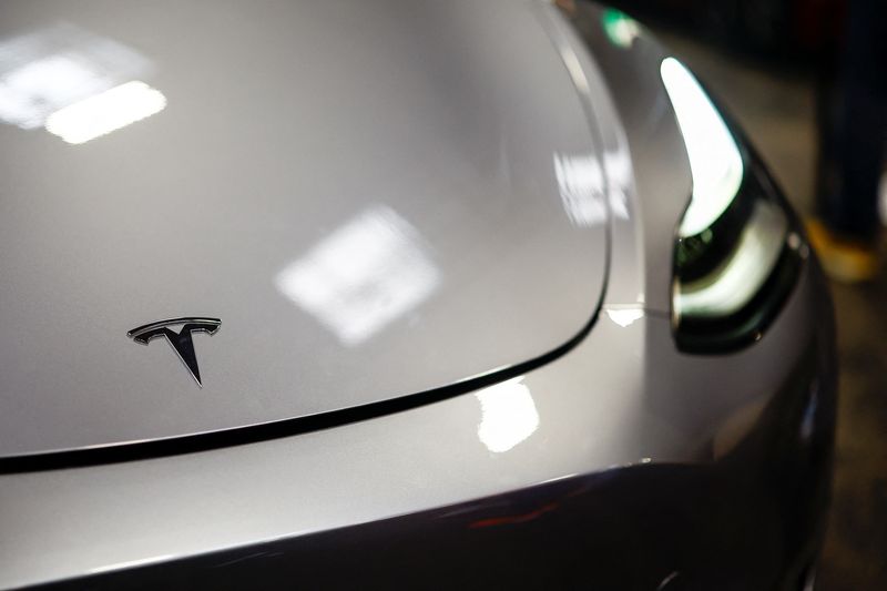 &copy; Reuters. FILE PHOTO: The Tesla logo is seen on a car at the Paris Games Week (PGW), a trade fair for video games in Paris, France, October 27, 2024. REUTERS/Sarah Meyssonnier/File Photo