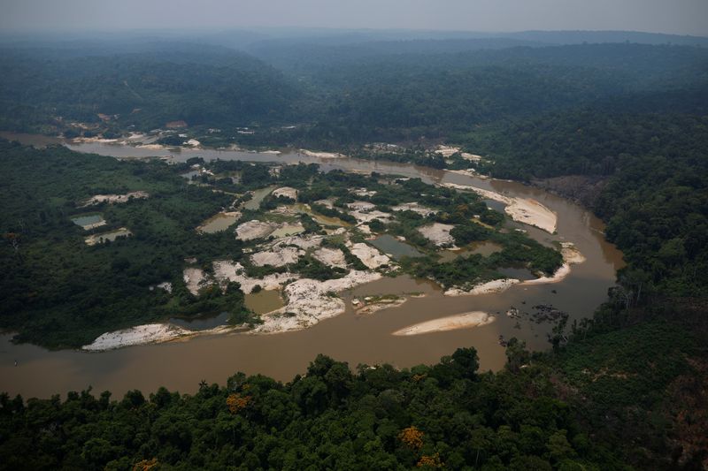 &copy; Reuters. A view of an illegal gold mine during a Brazilian government enforcement operation to combat illegal gold mining in the Amazon rainforest on Munduruku Indigenous land, in the municipality of Jacareacanga, Para state, Brazil November 12, 2024. REUTERS/Adri