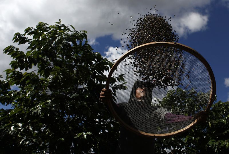 Pesquisa aponta ganhos agrícolas bilionários com restauração de vegetação nativa em SP