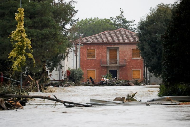 &copy; Reuters. Rami di alberi in un'area allagata a causa del forte maltempo che ha provocato un'alluvione a Traversara, Emilia-Romagna, Italia, 19 settembre 2024. REUTERS/Ciro de Luca