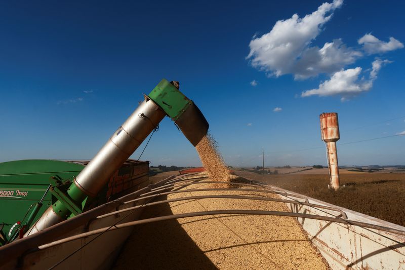  A harvester unloads soybeans into a truck at a farm during a record soybean harvest season in Brazil's southernmost state in Nao Me Toque, state of Rio Grande do Sul, Brazil, April 3, 2024. REUTERS/Diego Vara/File Photo