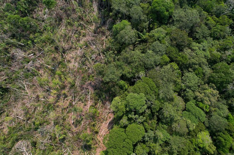 Investidor dos mercados de carbono lança plano de proteção da Amazônia de US$1,5 bi em Davos