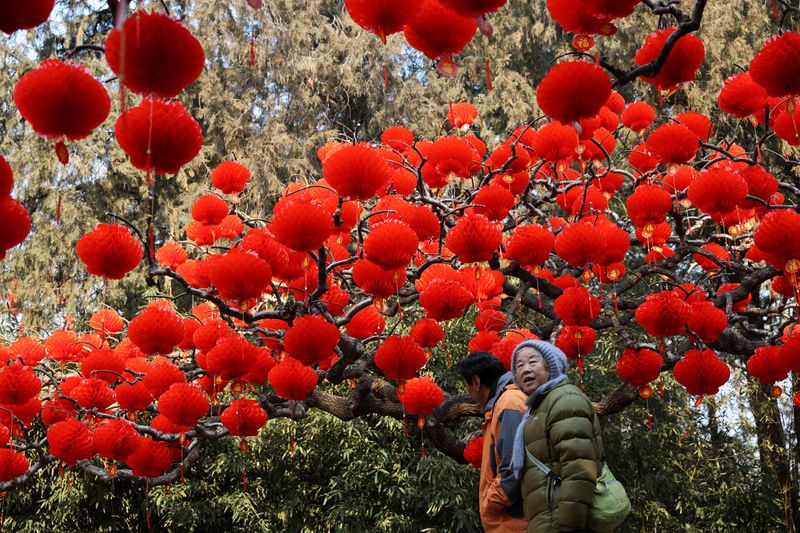 &copy; Reuters. An elderly woman walks with a man near red lanterns decorating a tree at a park, before the Lunar New Year celebrations, in Beijing, China January 24, 2025. REUTERS/Florence Lo