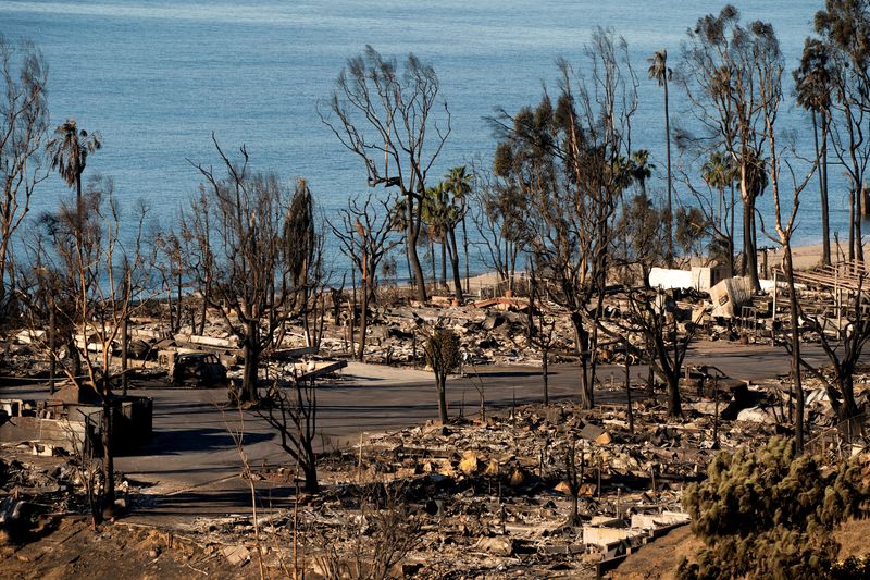 &copy; Reuters. FILE PHOTO: A view shows the remains of homes burned by the Palisades Fire, in the Pacific Palisades neighborhood in Los Angeles, California, U.S. January 14, 2025. REUTERS/David Ryder/File Photo