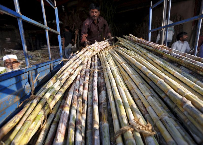 © Reuters. Cana-de-açúcar em mercado na Índia