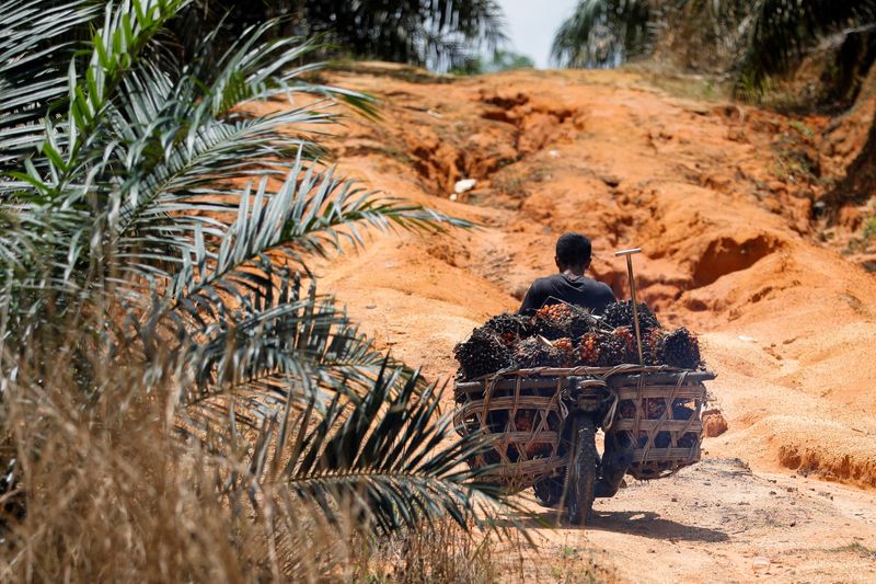 Estoques de óleo de palma da Indonésia sobem em novembro com exportações mais lentas