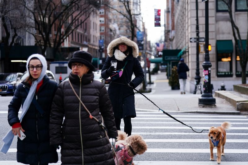 &copy; Reuters. FILE PHOTO: People walk their dogs in Manhattan during cold weather in New York City, U.S., January 5, 2025. REUTERS/Adam Gray/File Photo