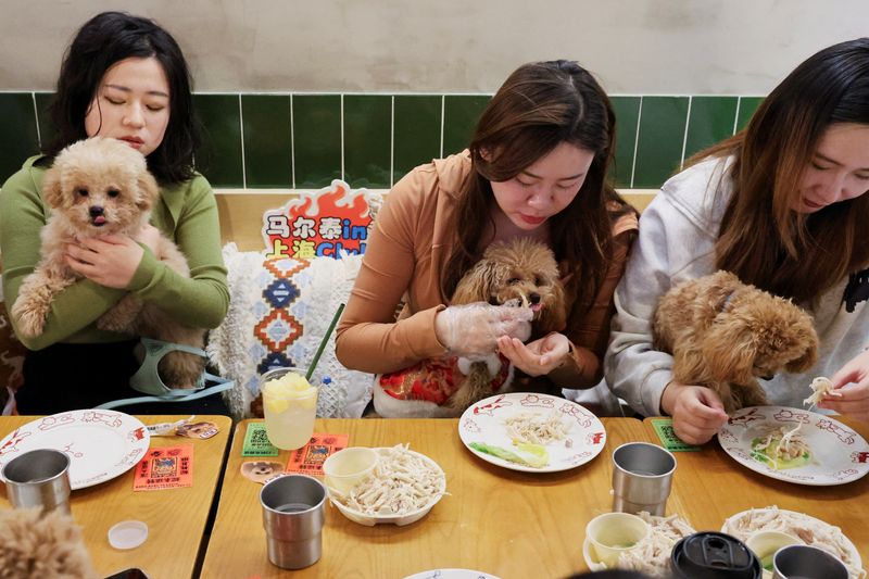 &copy; Reuters. Restaurante em Xangai oferece jantar para pets antes do Ano Novo Lunarn25/01/2025nREUTERS/Go Nakamura