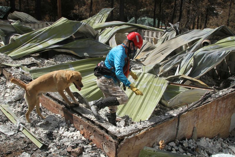 Explainer-What is FEMA, US emergency agency under fire from Trump?