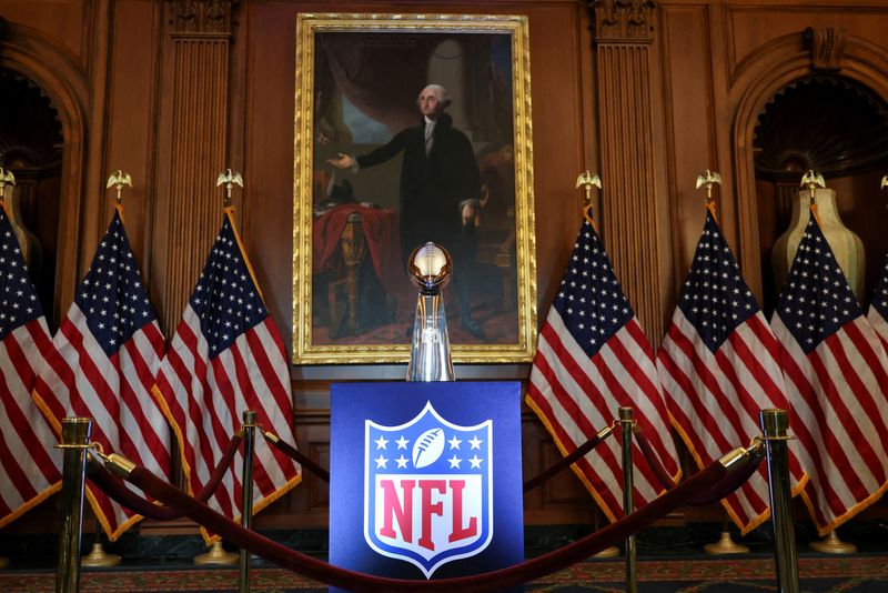 NFL-Congressional delegation to review Super Bowl security: report