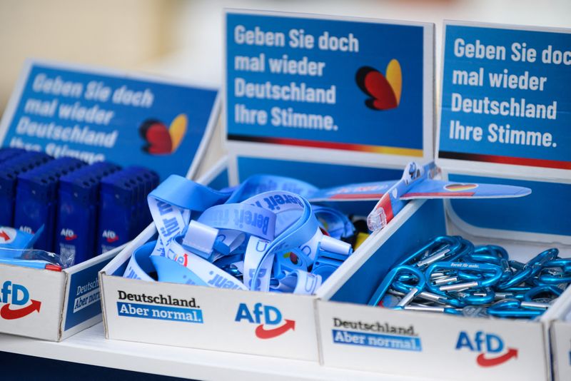 Explainer-How Germany's populist parties could hamper parliament's work