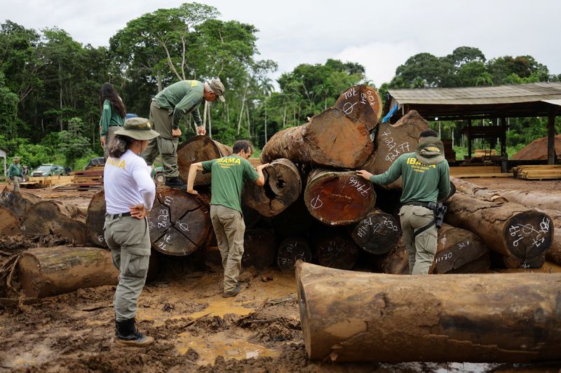 Brazil targets illegal logging in major Amazon raids