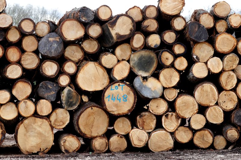 US paper industry asks Trump to seek lighter EU deforestation rules