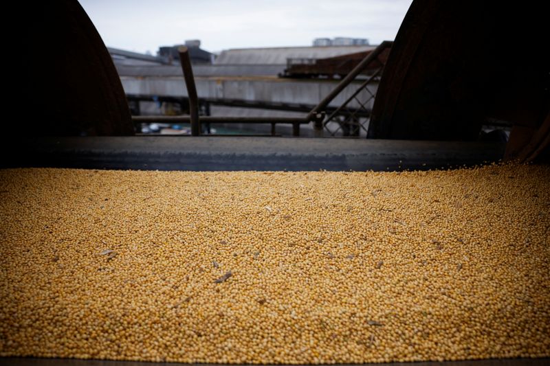 Brazil's Para state set to reverse tax on grain production