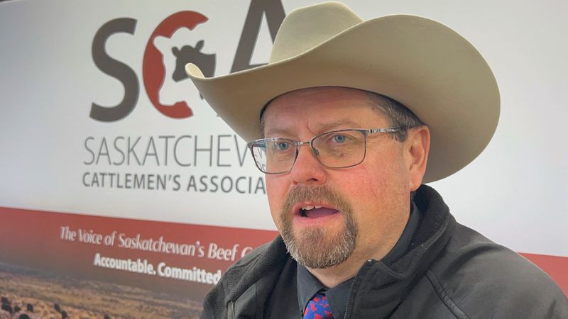 Analysis-Beef prices may rise as Canadian ranchers shrink cattle herds, fearing Trump tariffs