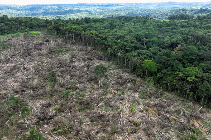&copy; Reuters. Imagem aérea da floresta amazônica perto de Uruará, no Parán 21/1/2023   REUTERS/Ueslei Marcelino