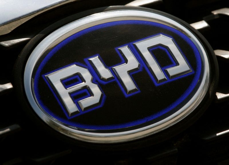 China's BYD raises $5.95 billion in upsized share sale, term sheet shows