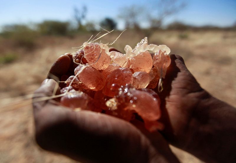 How a key ingredient in Coca-Cola, M&M's is smuggled from war-torn Sudan