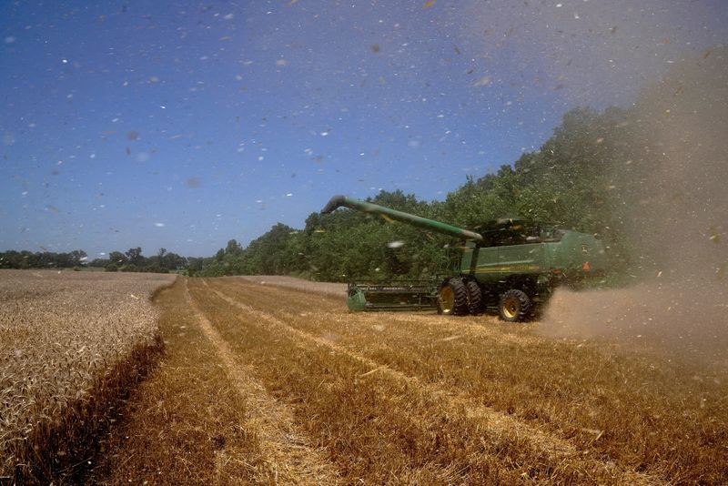 US farmers face higher costs, fewer markets from tariffs, farm groups warn